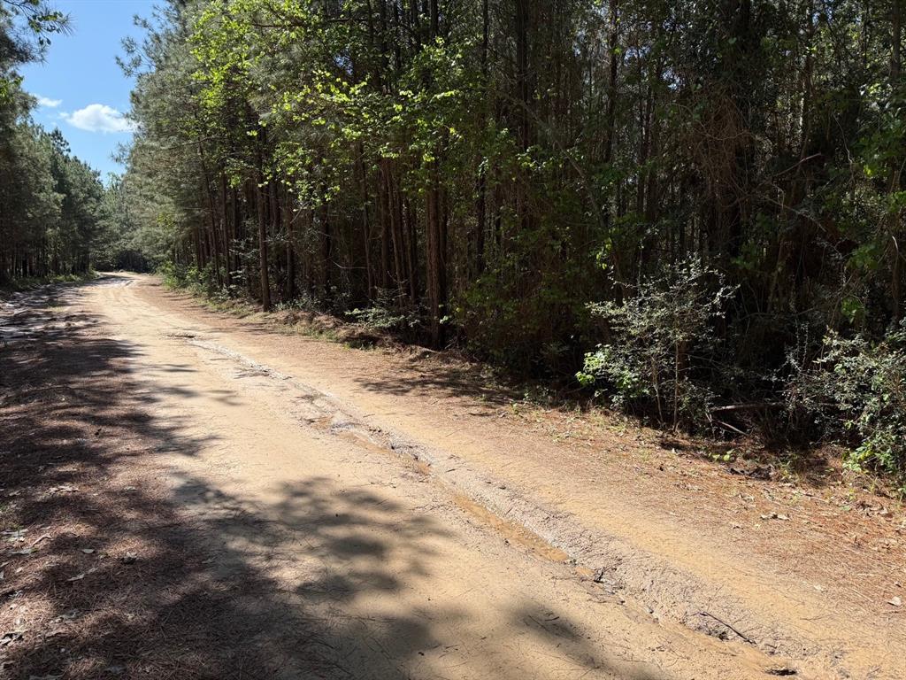 686 Pr 5102, Kennard, Texas image 8