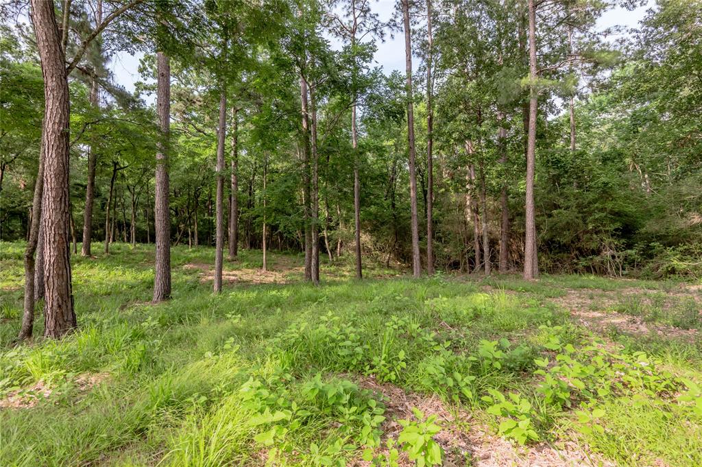 Lot 35 Naples Way, Huntsville, Texas image 11