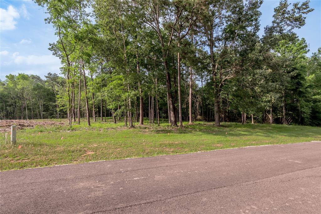 Lot 35 Naples Way, Huntsville, Texas image 5