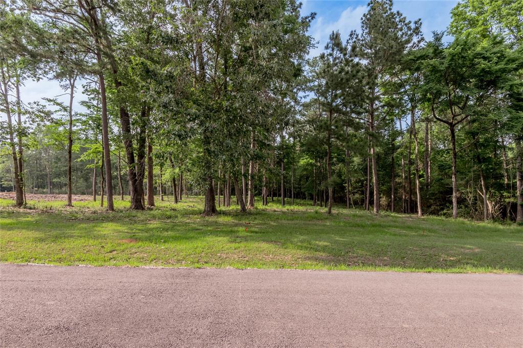 Lot 35 Naples Way, Huntsville, Texas image 7