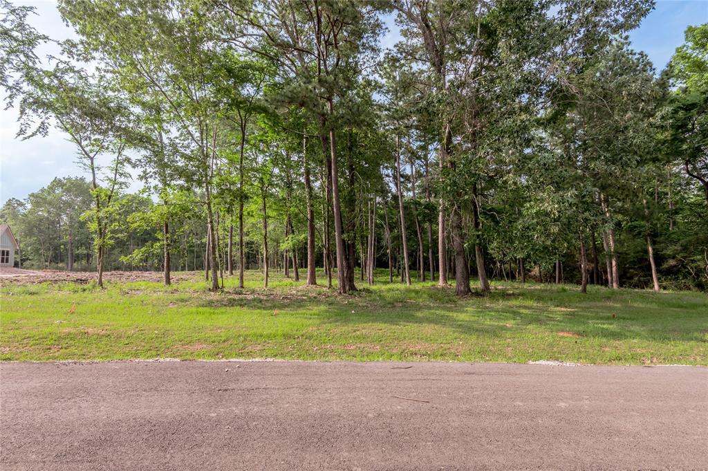 Lot 35 Naples Way, Huntsville, Texas image 6