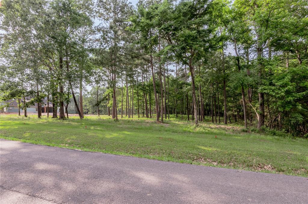 Lot 35 Naples Way, Huntsville, Texas image 8