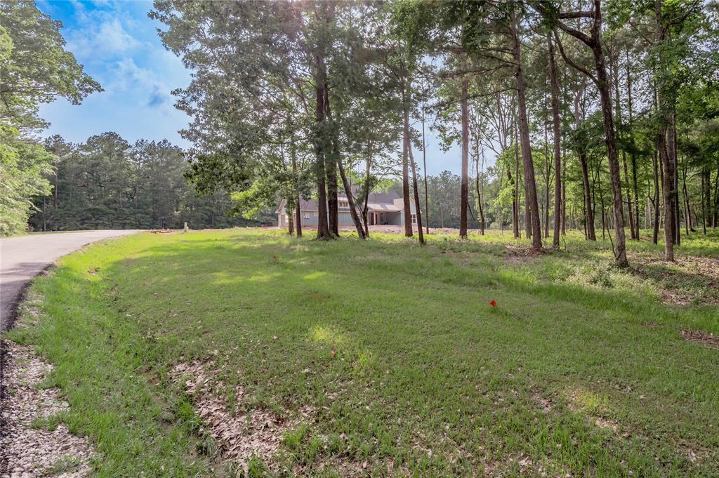 Lot 35 Naples Way, Huntsville, Texas image 9