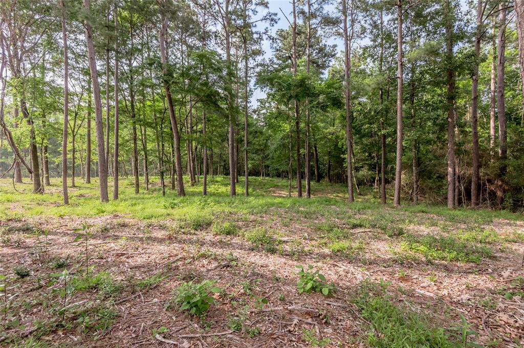 Lot 35 Naples Way, Huntsville, Texas image 10