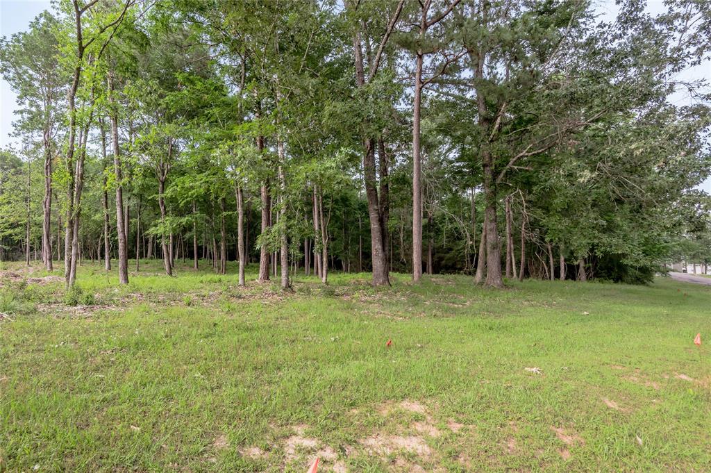 Lot 35 Naples Way, Huntsville, Texas image 14