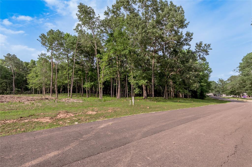 Lot 35 Naples Way, Huntsville, Texas image 4