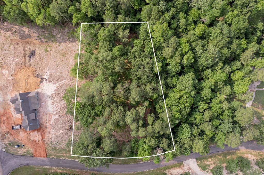 Lot 35 Naples Way, Huntsville, Texas image 3