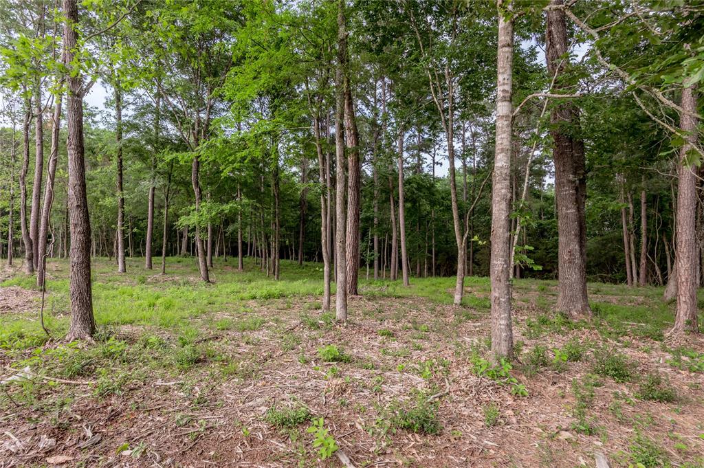 Lot 35 Naples Way, Huntsville, Texas image 13