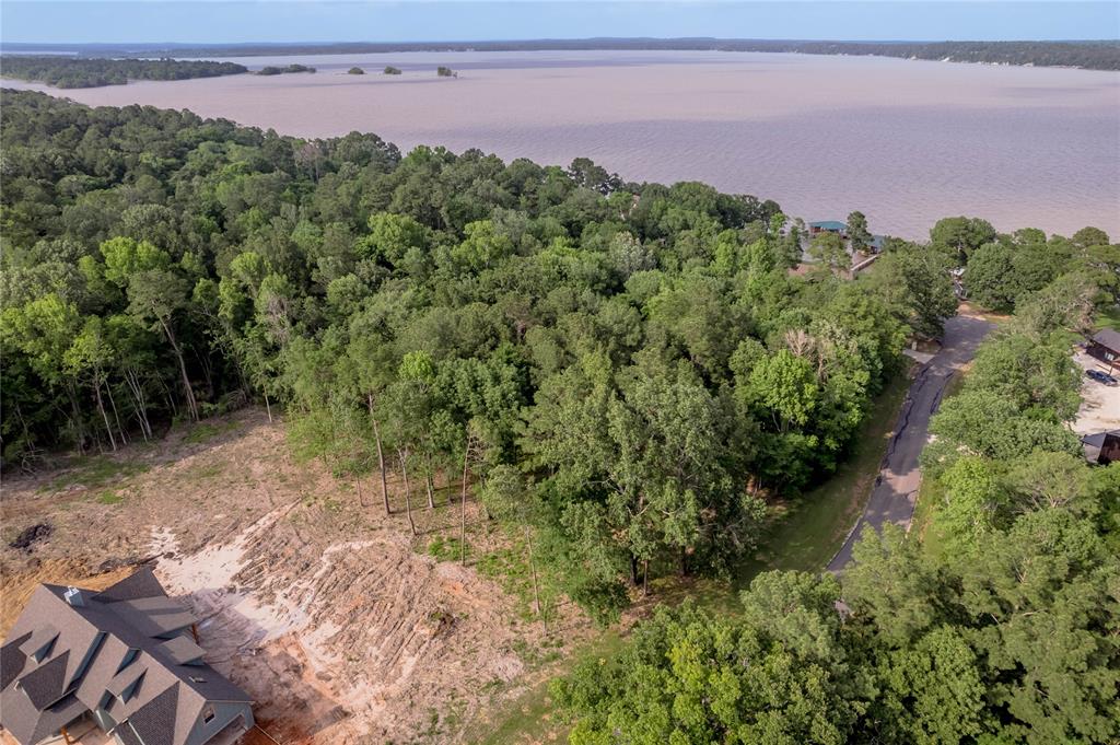 Lot 35 Naples Way, Huntsville, Texas image 22