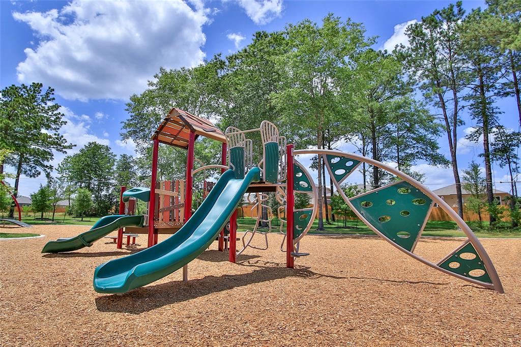 10427 Red Cardinal Drive, Cleveland, Texas image 13