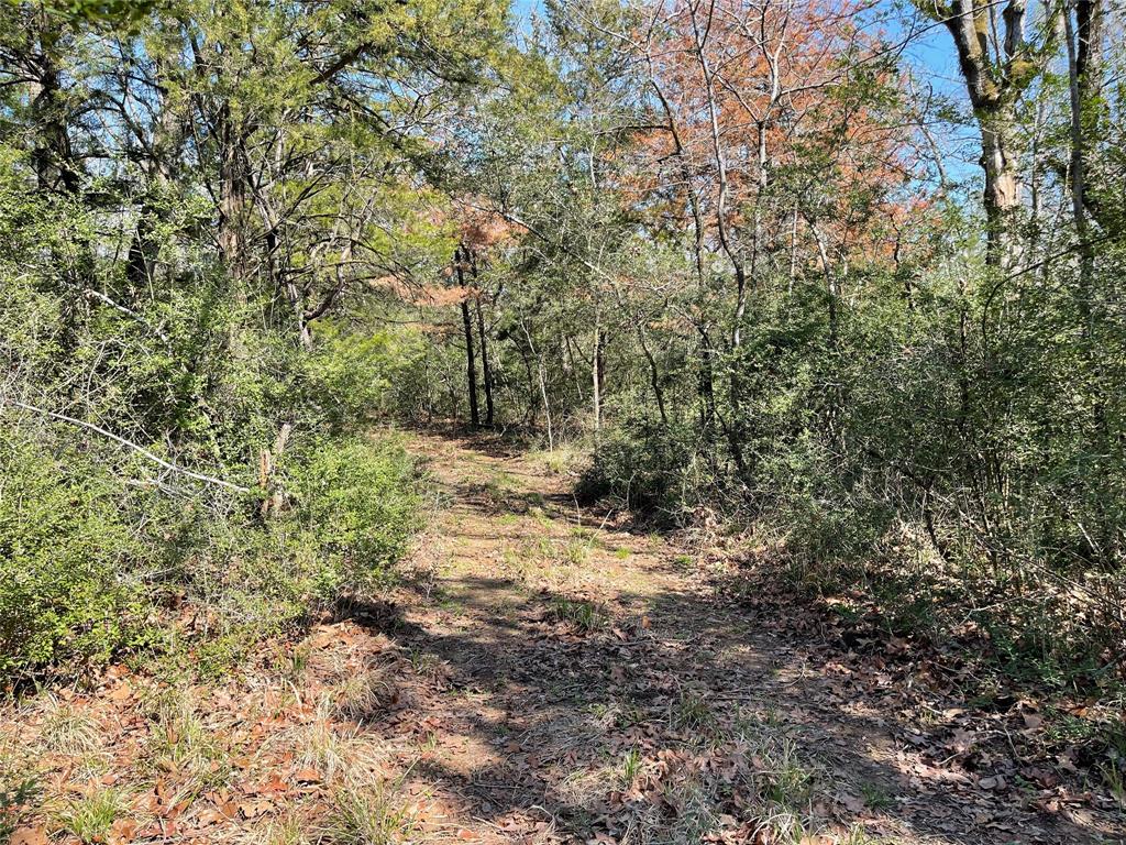 TBD Fcr 316, Oakwood, Texas image 6