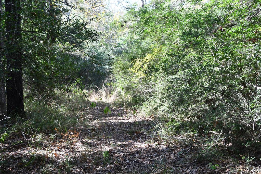 TBD Mccarver Lane, Bryan, Texas image 8