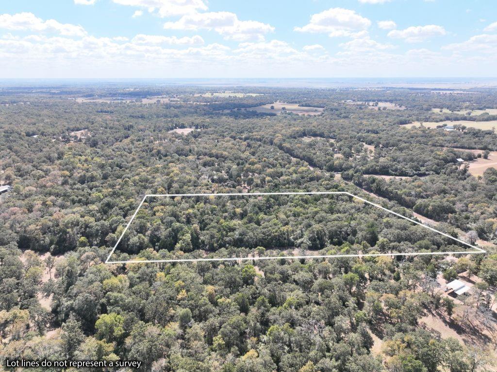 TBD Mccarver Lane, Bryan, Texas image 3