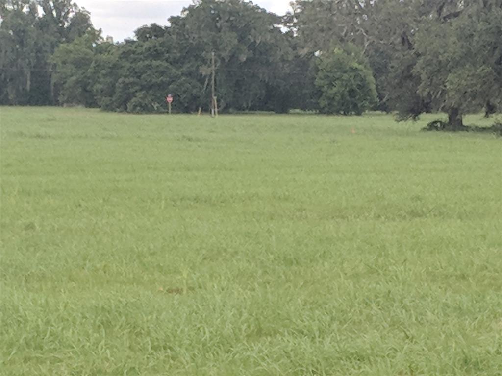 435 Pony Trail, Angleton, Texas image 3