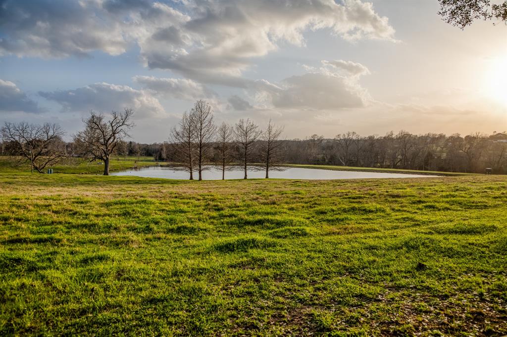 11625 Fm 2447 E, Chappell Hill, Texas image 28