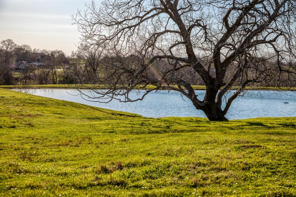 11625 Fm 2447 E, Chappell Hill, Texas image 40