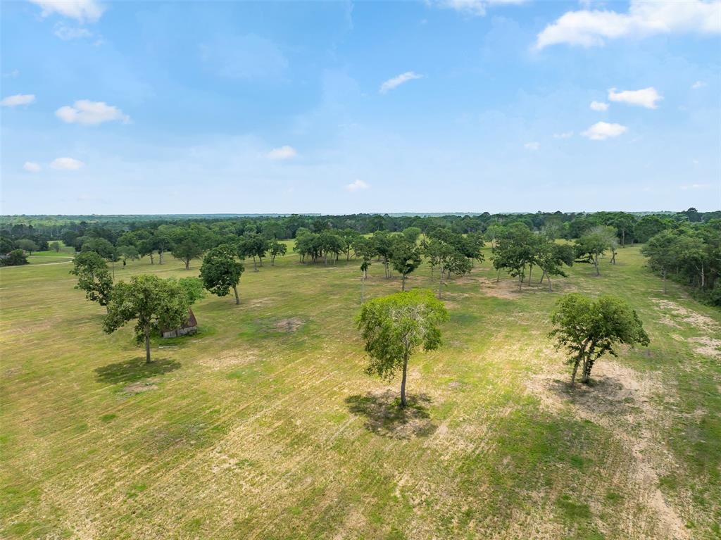 0000 Old Laake Lane, New Ulm, Texas image 25