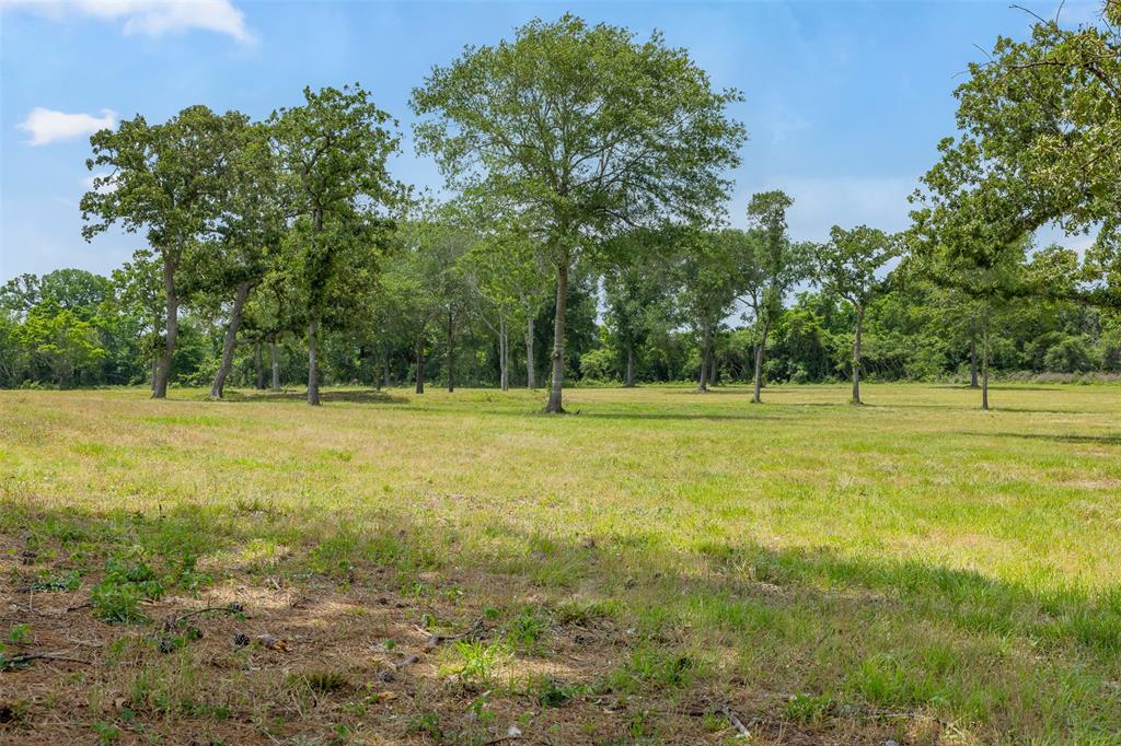 0000 Old Laake Lane, New Ulm, Texas image 2