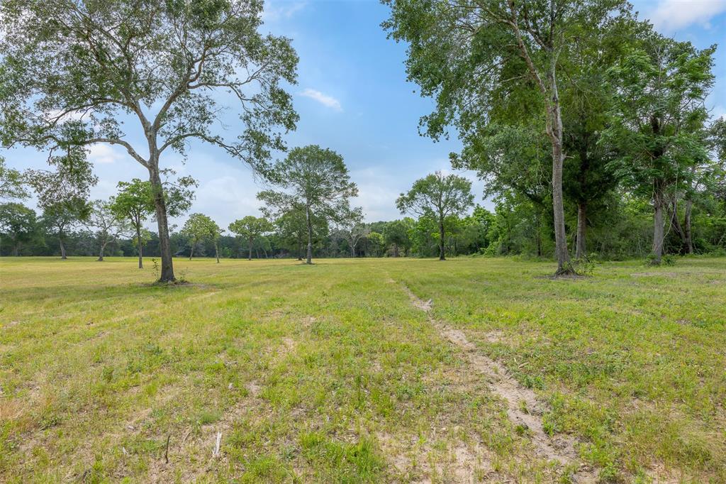 0000 Old Laake Lane, New Ulm, Texas image 10