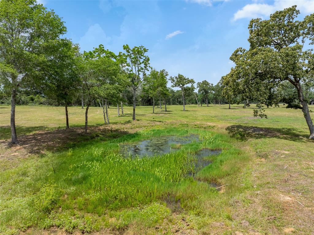 0000 Old Laake Lane, New Ulm, Texas image 12