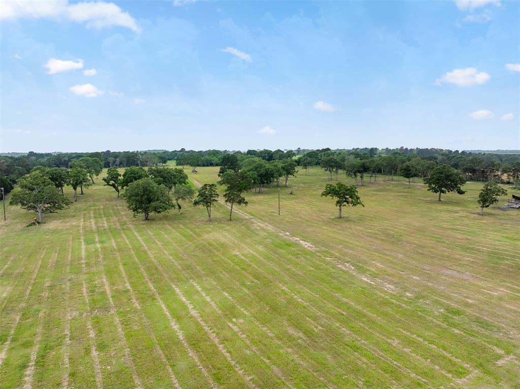 0000 Old Laake Lane, New Ulm, Texas image 26