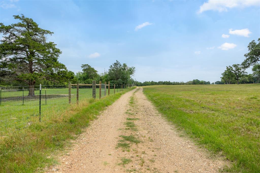 0000 Old Laake Lane, New Ulm, Texas image 6