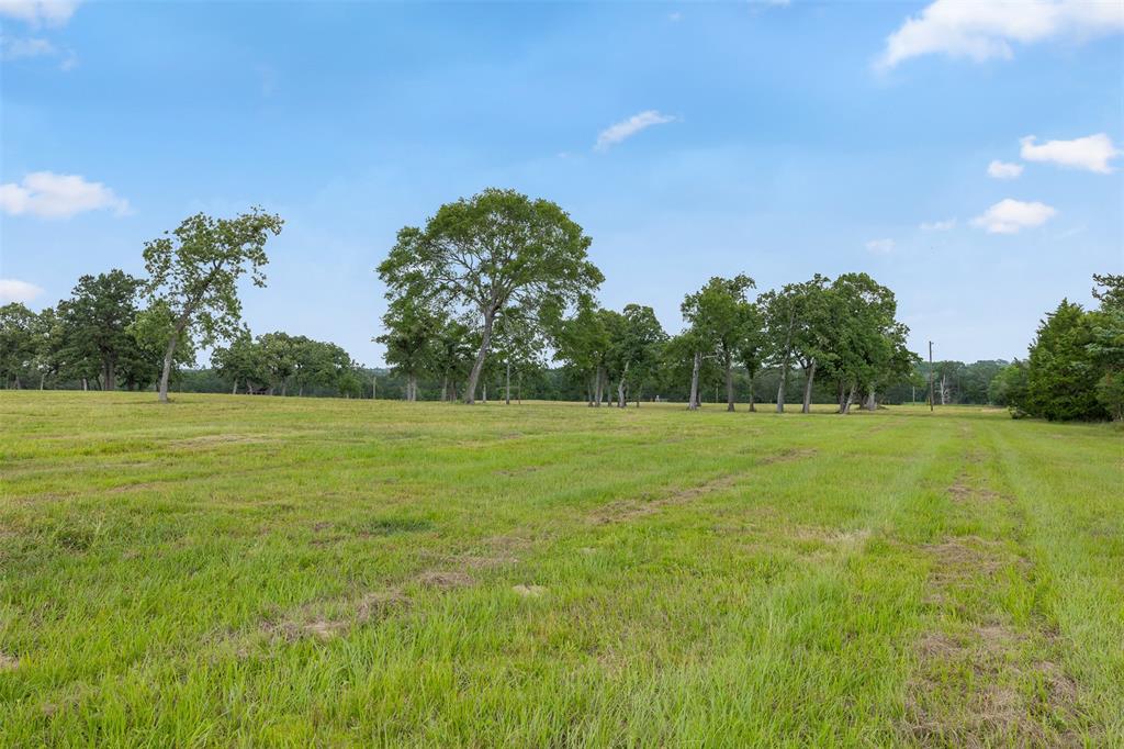 0000 Old Laake Lane, New Ulm, Texas image 22