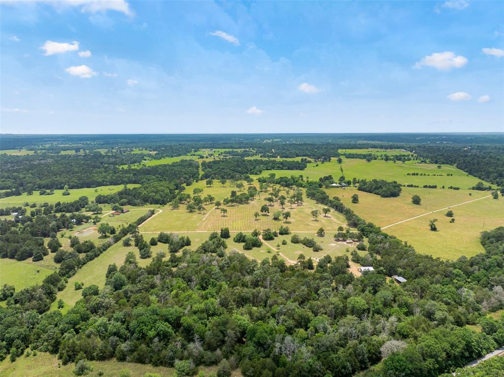 0000 Old Laake Lane, New Ulm, Texas image 14