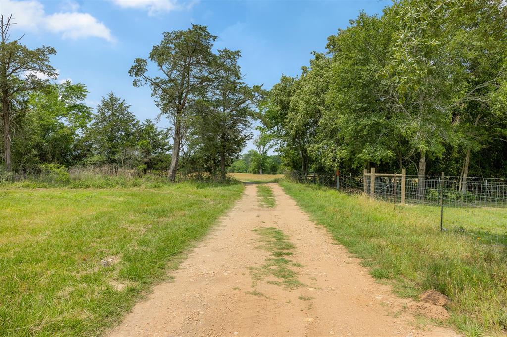 0000 Old Laake Lane, New Ulm, Texas image 5