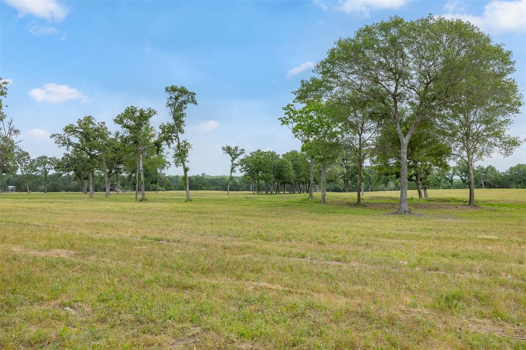0000 Old Laake Lane, New Ulm, Texas image 9