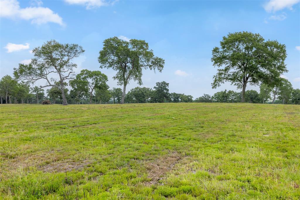 0000 Old Laake Lane, New Ulm, Texas image 21