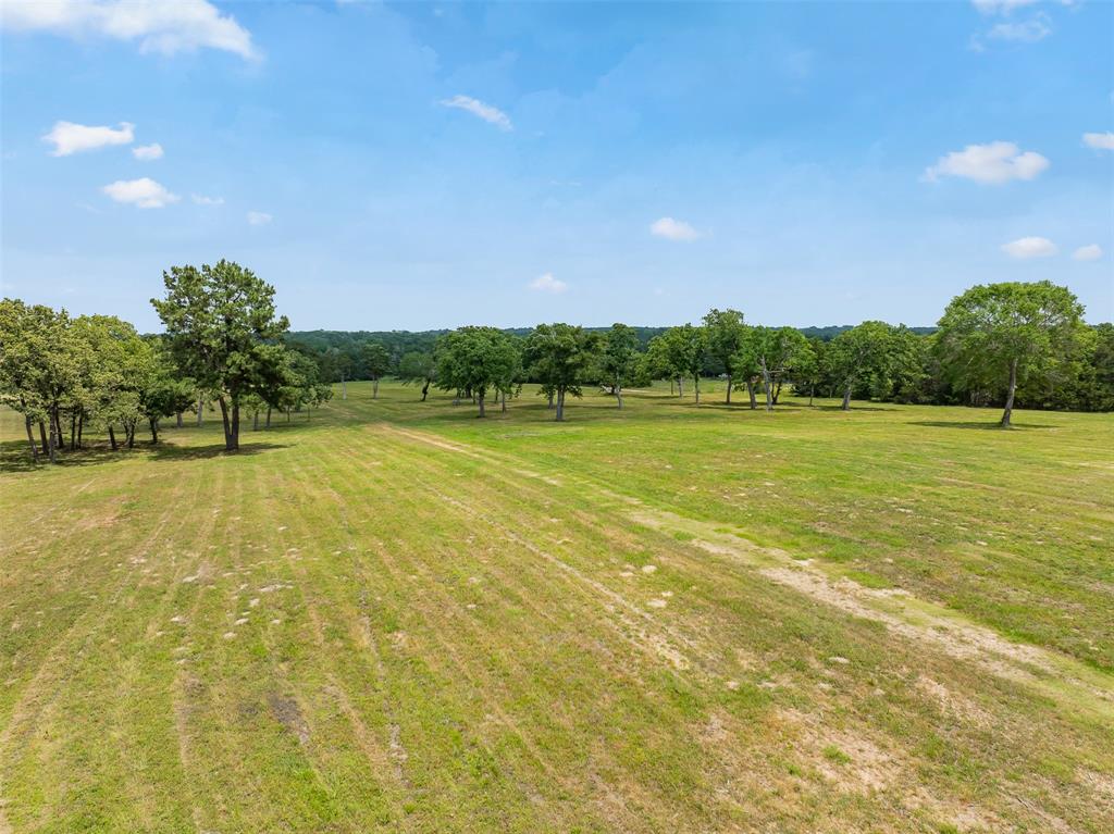 0000 Old Laake Lane, New Ulm, Texas image 3