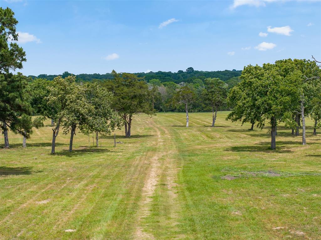 0000 Old Laake Lane, New Ulm, Texas image 28
