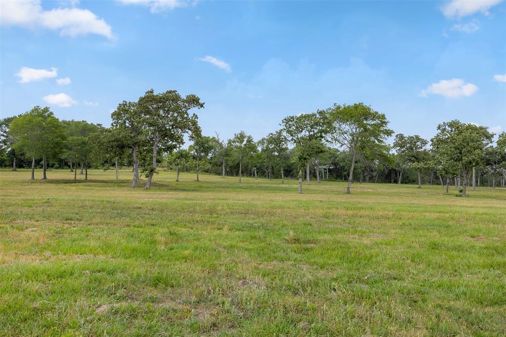 0000 Old Laake Lane, New Ulm, Texas image 23