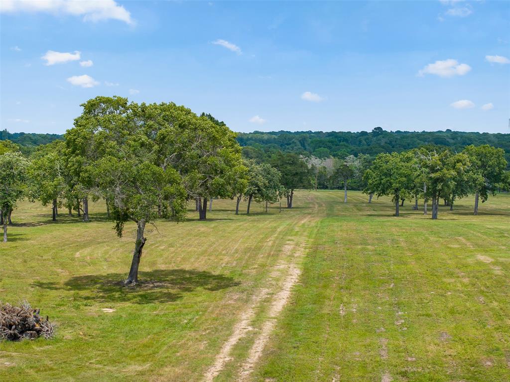 0000 Old Laake Lane, New Ulm, Texas image 4