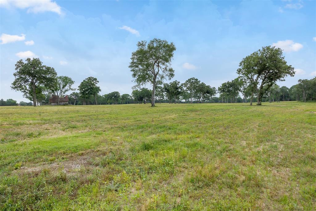 0000 Old Laake Lane, New Ulm, Texas image 7