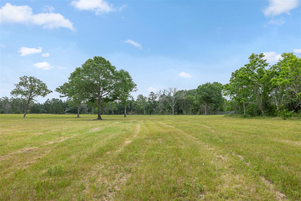 0000 Old Laake Lane, New Ulm, Texas image 8