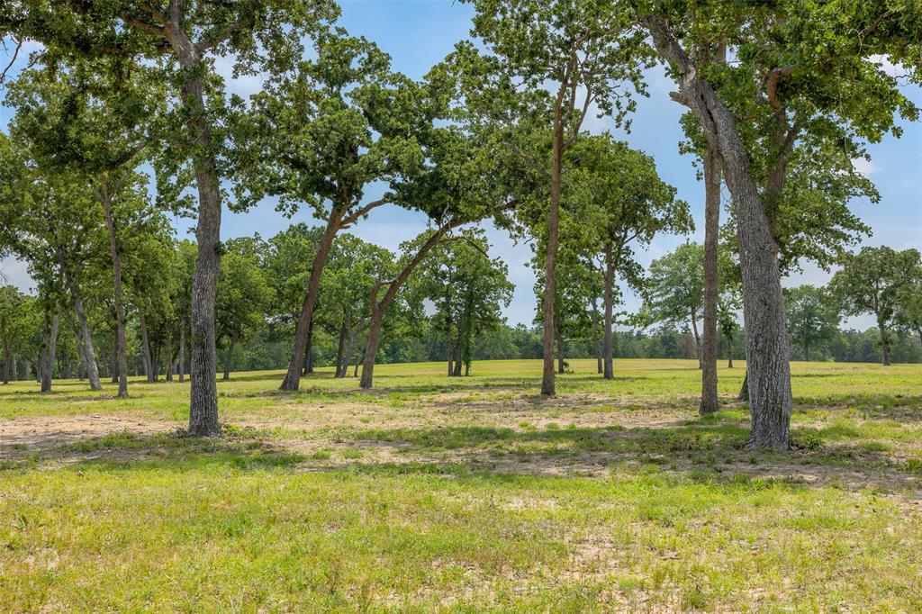 0000 Old Laake Lane, New Ulm, Texas image 1
