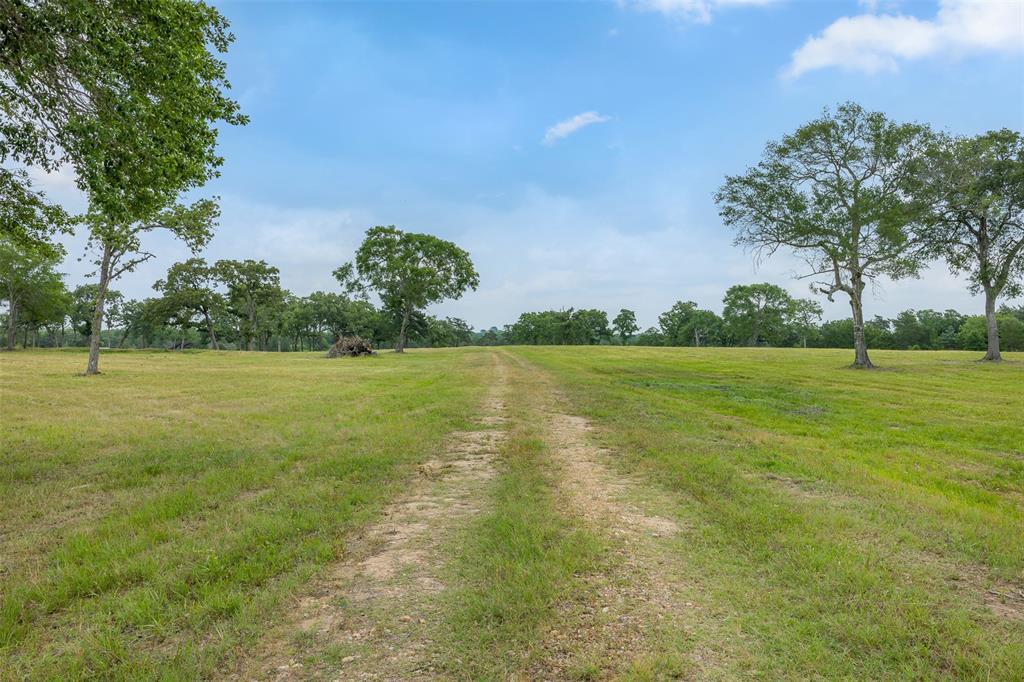 0000 Old Laake Lane, New Ulm, Texas image 11