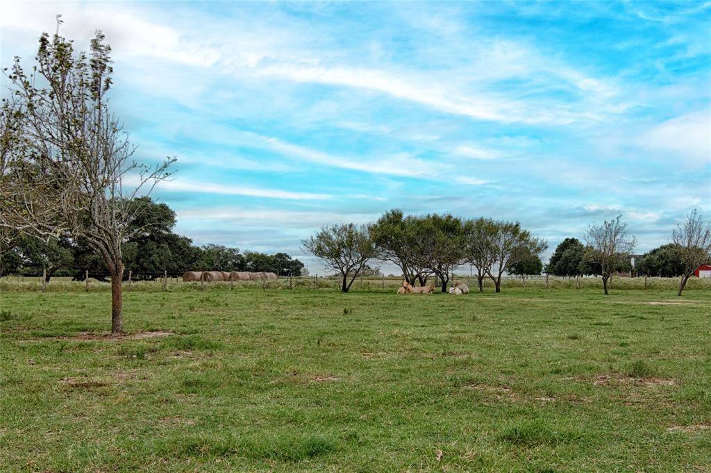 341 County Road 233, Hallettsville, Texas image 10