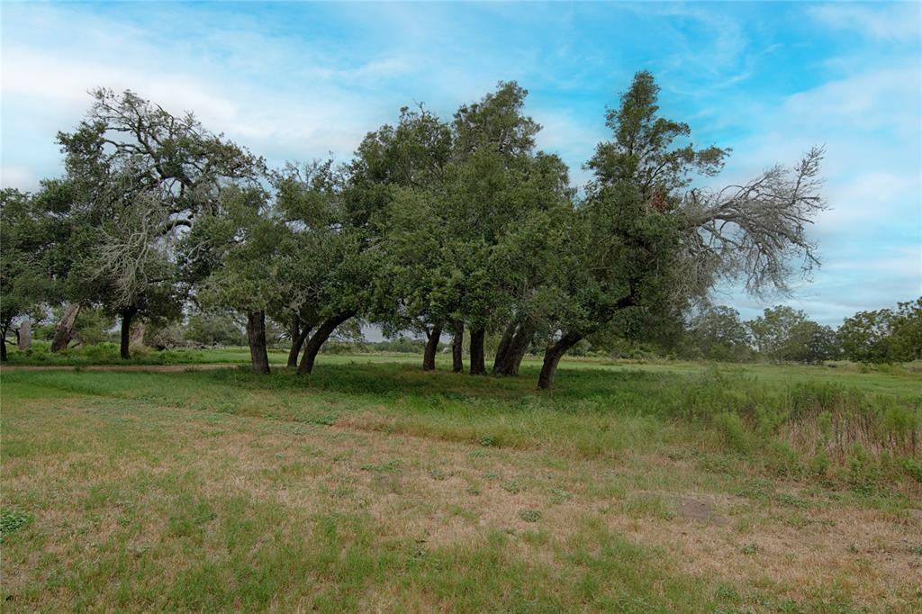 341 County Road 233, Hallettsville, Texas image 9