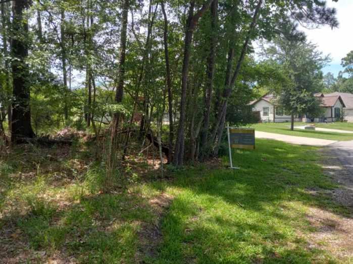 136 S Pine Harbour Drive, Coldspring, Texas image 1