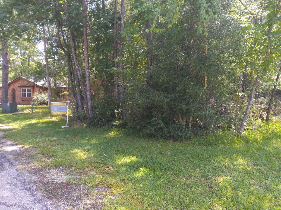 136 S Pine Harbour Drive, Coldspring, Texas image 5