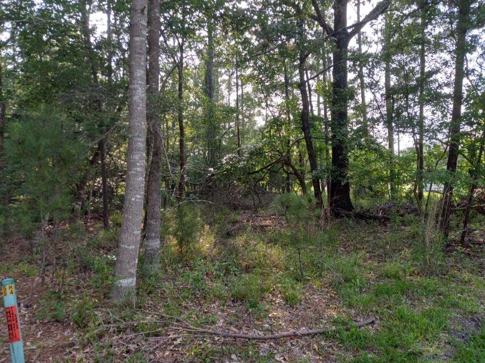136 S Pine Harbour Drive, Coldspring, Texas image 2
