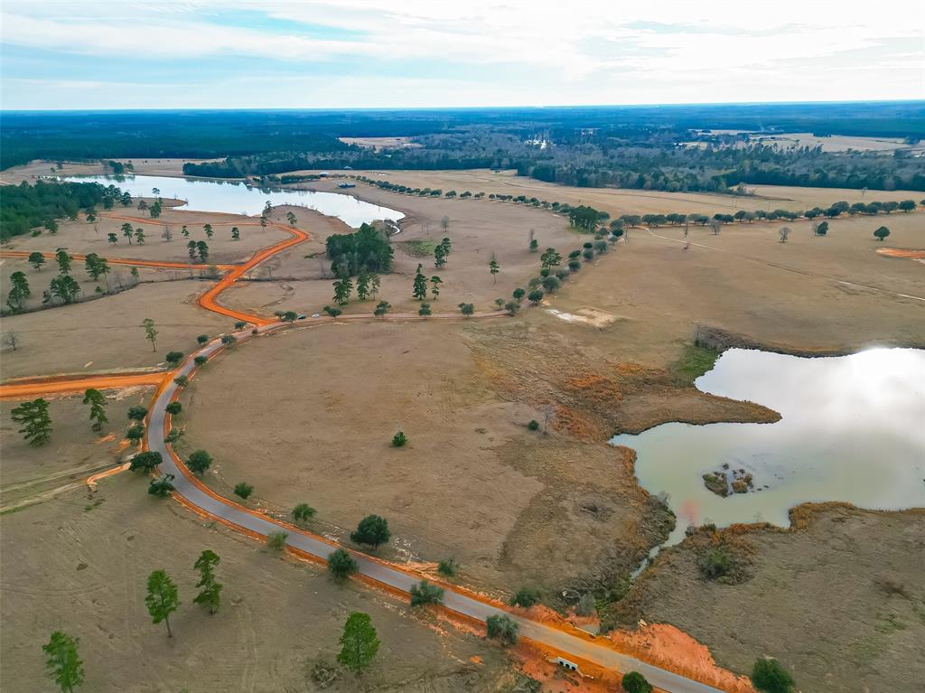 LOT 169 Lakeland Ranch, Woodville, Texas image 7