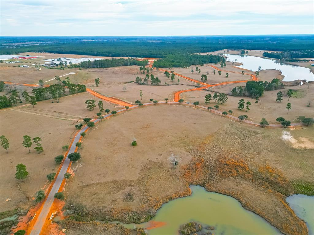 LOT 169 Lakeland Ranch, Woodville, Texas image 8