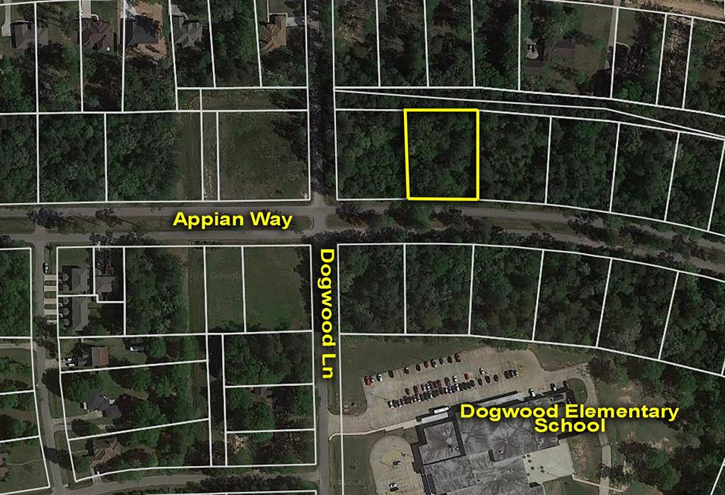 Lot 26 Appian Way, New Caney, Texas image 1