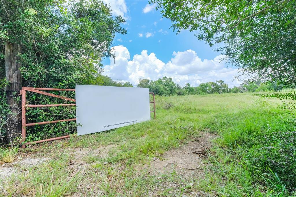 8518 Bois D Arc Lane, Fulshear, Texas image 2