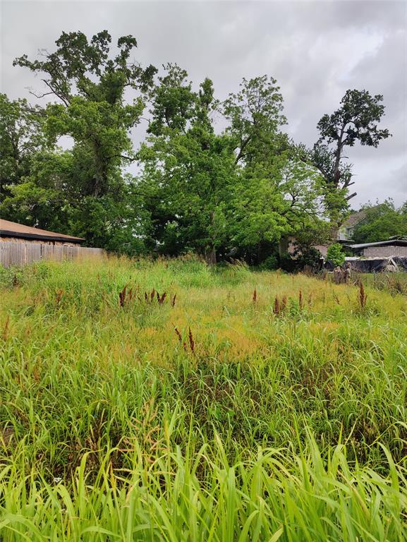Lakeview Circle, Coldspring, Texas image 6