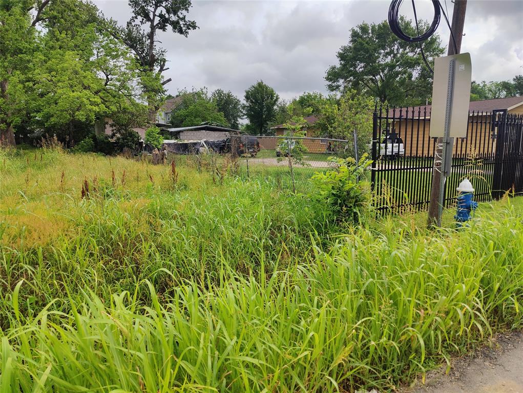 Lakeview Circle, Coldspring, Texas image 3